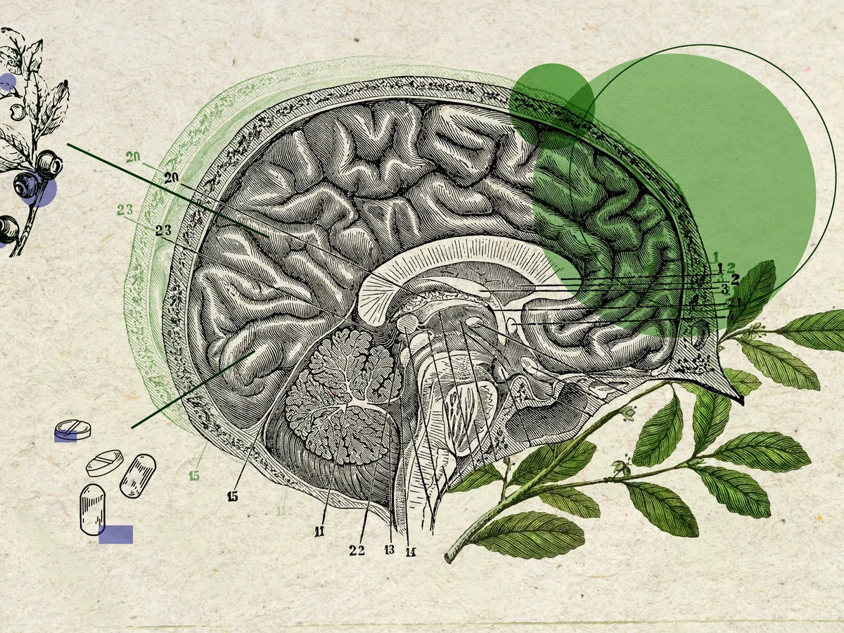 Unlocking Clarity: The Power Behind Heylo Health’s Nootropic Formula