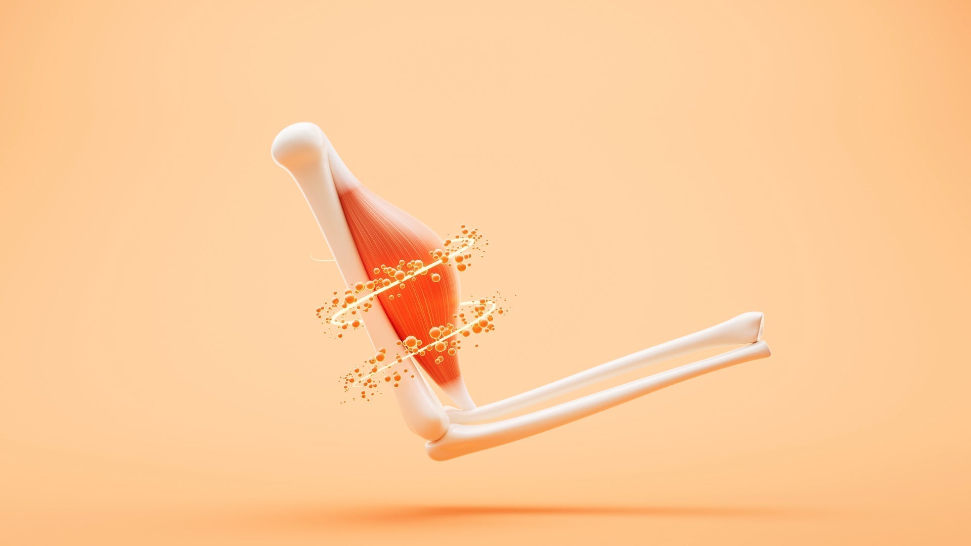 Supercharging Recovery with Heylo Amino +