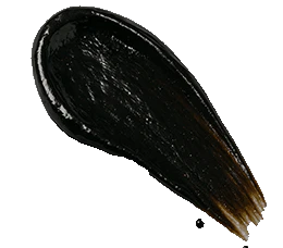 Shilajit Extract (PrimaVie®)